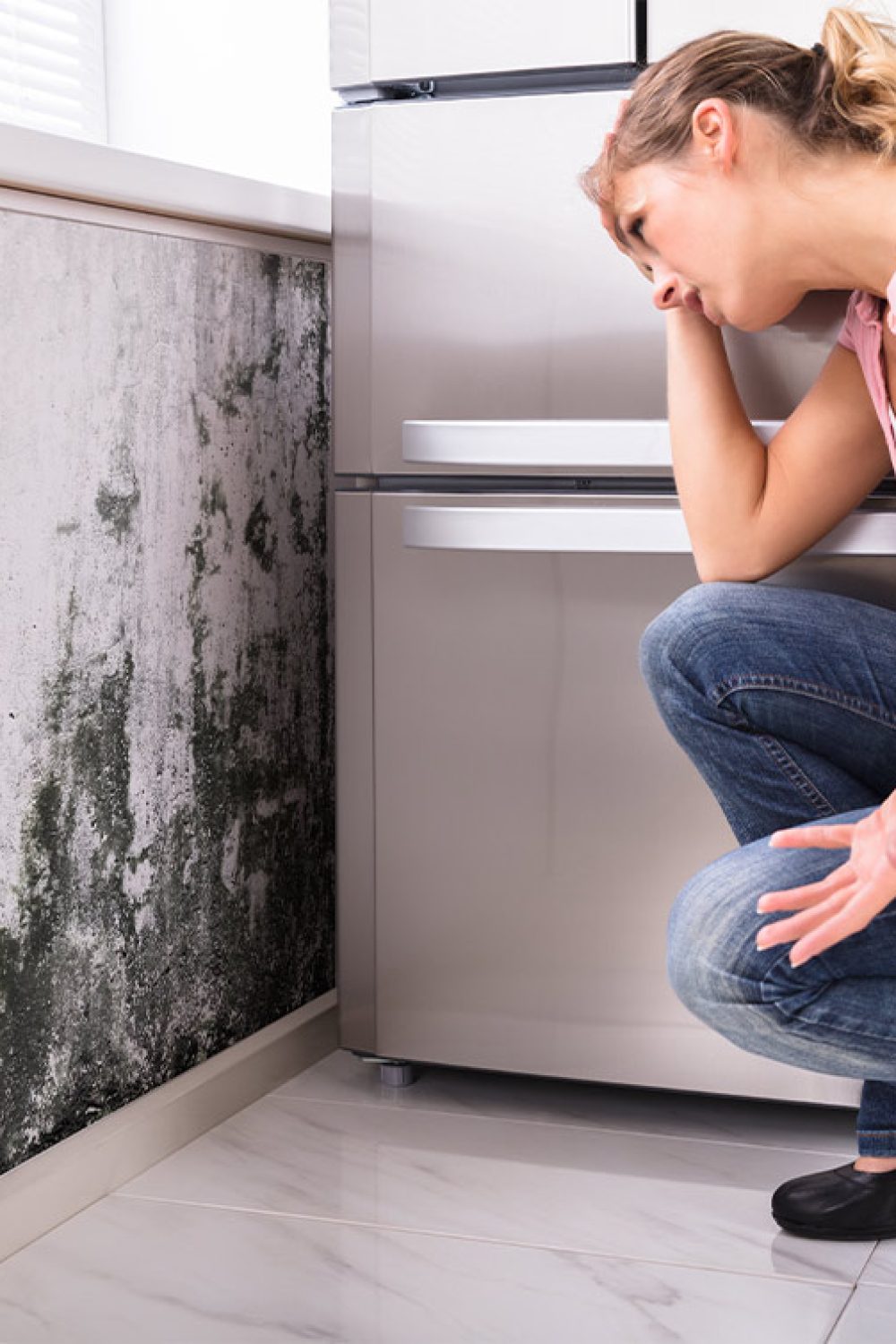 Mould-removal-issues-and-methods-to-remove